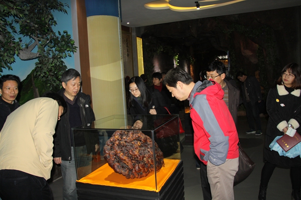 杭州亞運(yùn)會官方靈芝產(chǎn)品供應(yīng)商|杭州亞運(yùn)會官方供應(yīng)商|中國靈芝十大品牌|仙客來靈芝|仙客來靈芝破壁孢子粉|仙客來孢子油|仙客來靈芝飲片|仙客來破壁孢子粉|靈芝孢子油|孢子粉|靈芝破壁孢子粉|靈芝|中華老字號