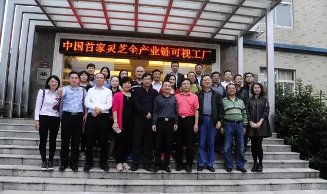 杭州亞運會官方靈芝產(chǎn)品供應商|杭州亞運會官方供應商|中國靈芝十大品牌|仙客來靈芝|仙客來靈芝破壁孢子粉|仙客來孢子油|仙客來靈芝飲片|仙客來破壁孢子粉|靈芝孢子油|孢子粉|靈芝破壁孢子粉|靈芝|中華老字號