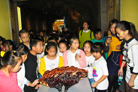 杭州亞運(yùn)會(huì)官方靈芝產(chǎn)品供應(yīng)商|杭州亞運(yùn)會(huì)官方供應(yīng)商|中國靈芝十大品牌|仙客來靈芝|仙客來靈芝破壁孢子粉|仙客來孢子油|仙客來靈芝飲片|仙客來破壁孢子粉|靈芝孢子油|孢子粉|靈芝破壁孢子粉|靈芝|中華老字號(hào)