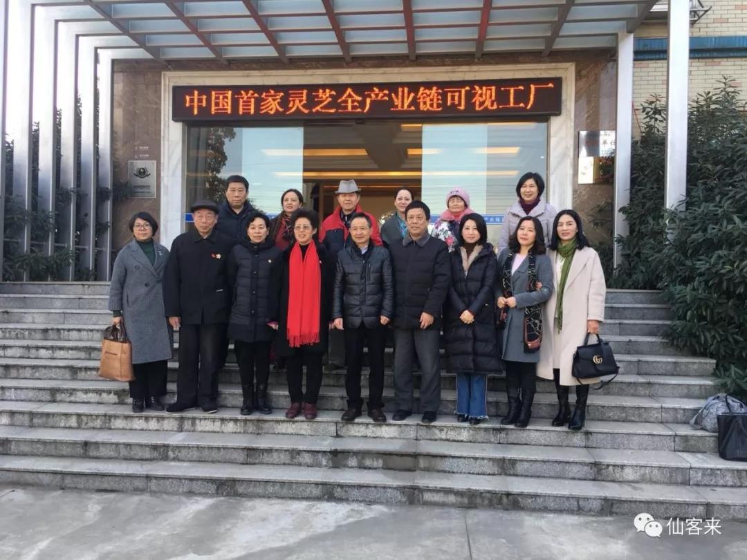 中國靈芝十大品牌|仙客來靈芝|仙客來靈芝破壁孢子粉|仙客來孢子油|仙客來靈芝飲片|仙客來破壁孢子粉|仙客來靈芝中藥飲片|馳名商標(biāo)|www.madree.com.cn|