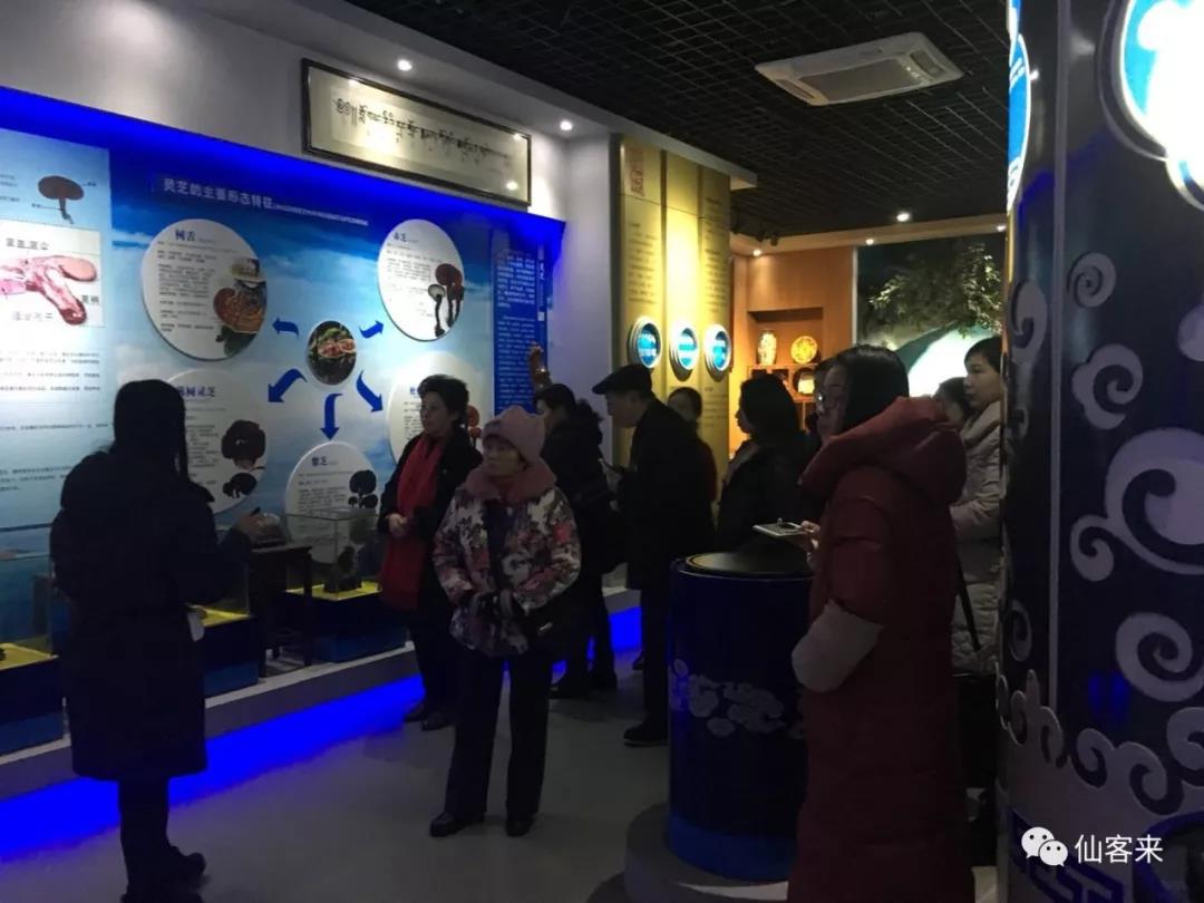 中國靈芝十大品牌|仙客來靈芝|仙客來靈芝破壁孢子粉|仙客來孢子油|仙客來靈芝飲片|仙客來破壁孢子粉|仙客來靈芝中藥飲片|馳名商標(biāo)|www.madree.com.cn|