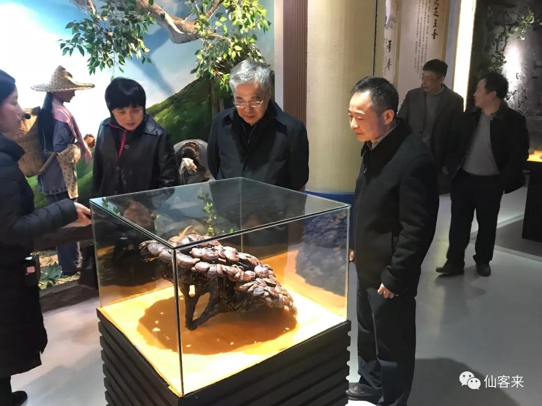 中國(guó)靈芝十大品牌|仙客來(lái)靈芝|仙客來(lái)靈芝破壁孢子粉|仙客來(lái)孢子油|仙客來(lái)靈芝飲片|仙客來(lái)破壁孢子粉|仙客來(lái)靈芝中藥飲片|馳名商標(biāo)|www.madree.com.cn|