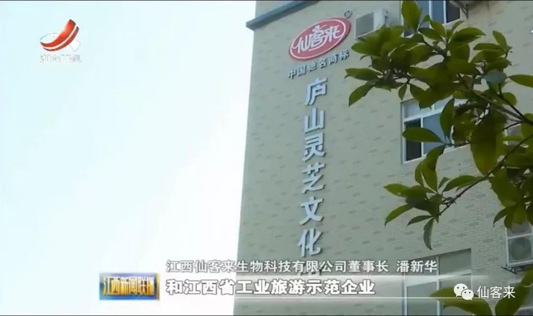 中國(guó)靈芝十大品牌|仙客來(lái)靈芝|仙客來(lái)靈芝破壁孢子粉|仙客來(lái)孢子油|仙客來(lái)靈芝飲片|仙客來(lái)破壁孢子粉|仙客來(lái)靈芝中藥飲片|馳名商標(biāo)|www.madree.com.cn|