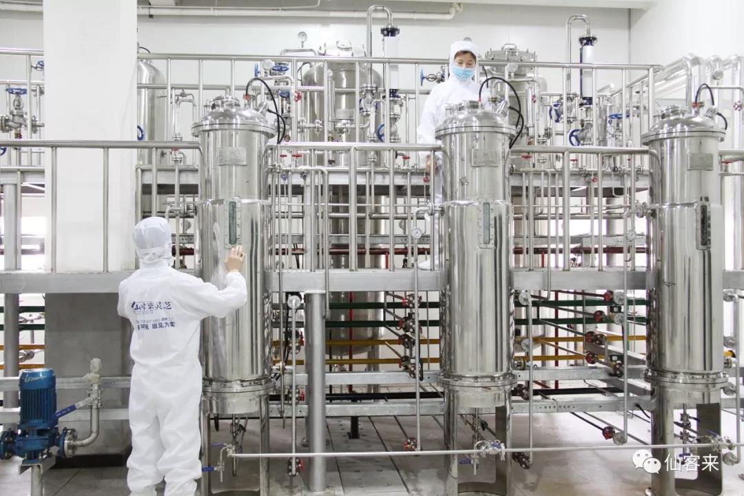 中國(guó)靈芝十大品牌|仙客來(lái)靈芝|仙客來(lái)靈芝破壁孢子粉|仙客來(lái)孢子油|仙客來(lái)靈芝飲片|仙客來(lái)破壁孢子粉|仙客來(lái)靈芝中藥飲片|馳名商標(biāo)|www.madree.com.cn|