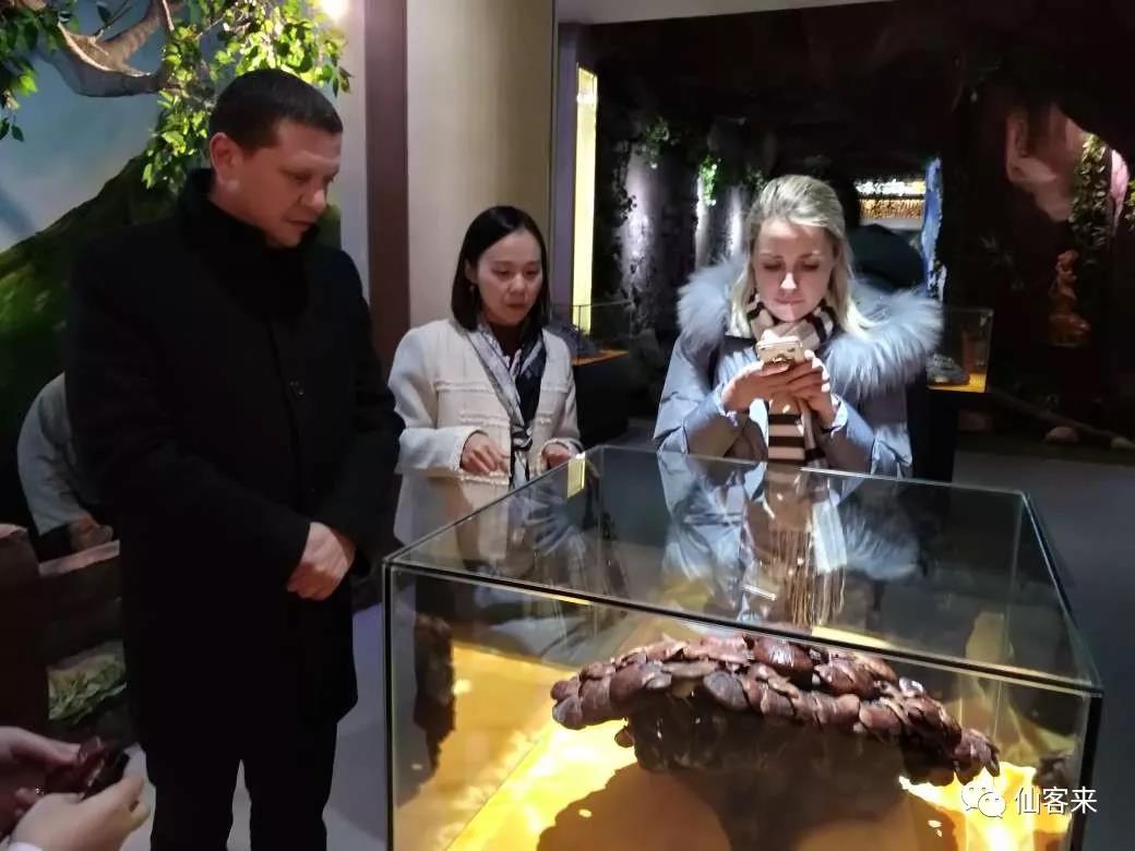 中國(guó)靈芝十大品牌|仙客來(lái)靈芝|仙客來(lái)靈芝破壁孢子粉|仙客來(lái)孢子油|仙客來(lái)靈芝飲片|仙客來(lái)破壁孢子粉|仙客來(lái)靈芝中藥飲片|馳名商標(biāo)|www.madree.com.cn|