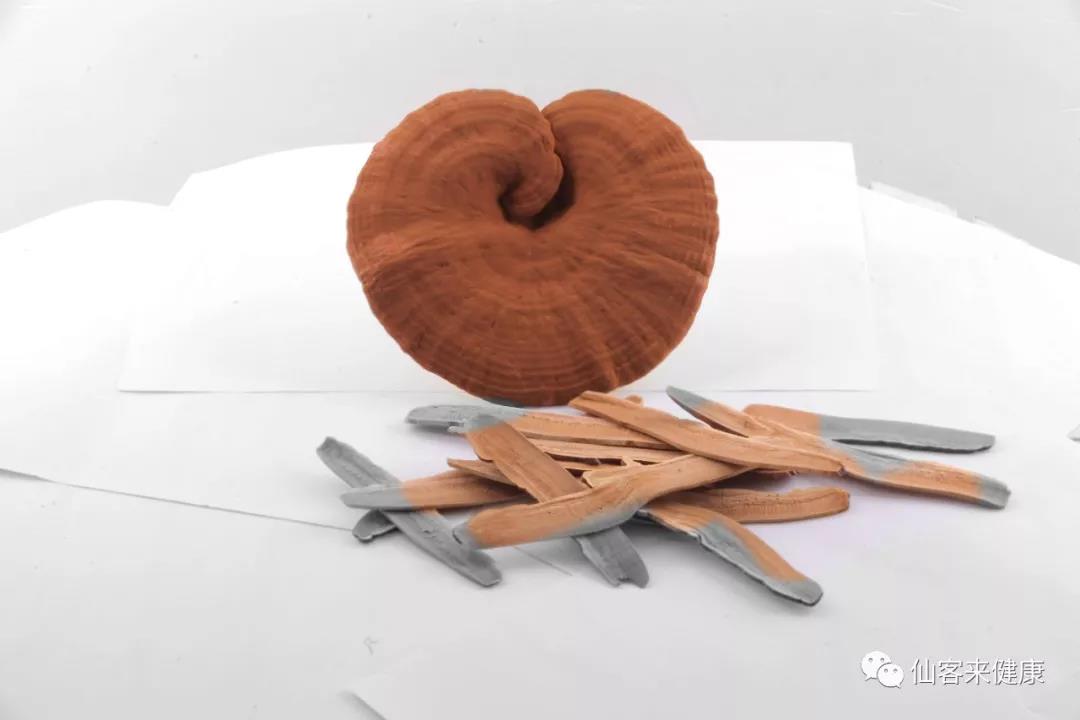 中國靈芝十大品牌|仙客來靈芝|仙客來靈芝破壁孢子粉|仙客來孢子油|仙客來靈芝飲片|仙客來破壁孢子粉|仙客來靈芝中藥飲片|馳名商標(biāo)|www.madree.com.cn|