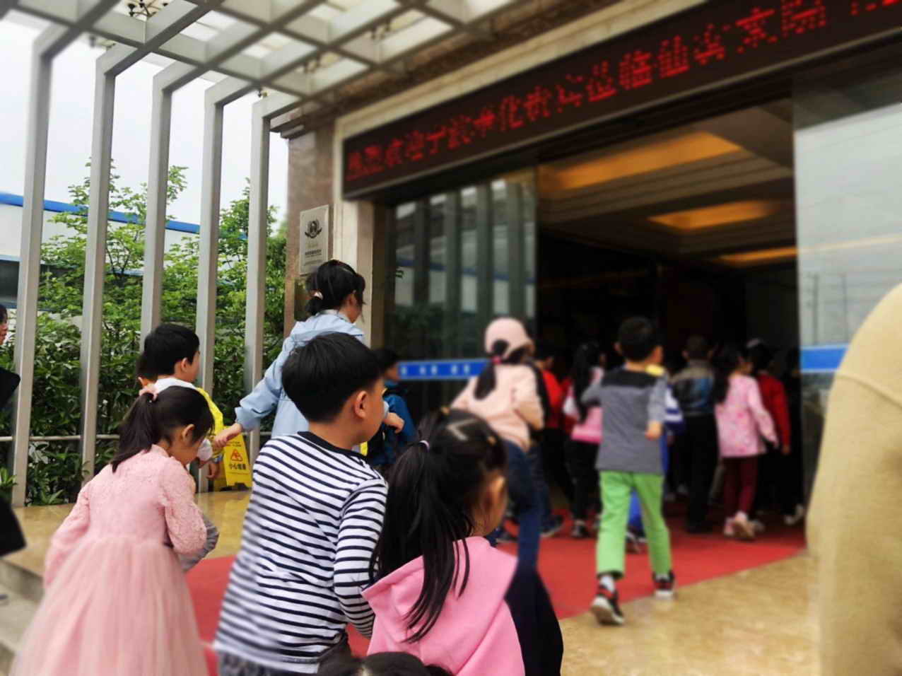 中國靈芝十大品牌|仙客來靈芝|仙客來靈芝破壁孢子粉|仙客來孢子油|仙客來靈芝飲片|仙客來破壁孢子粉|仙客來靈芝中藥飲片|馳名商標|www.madree.com.cn|