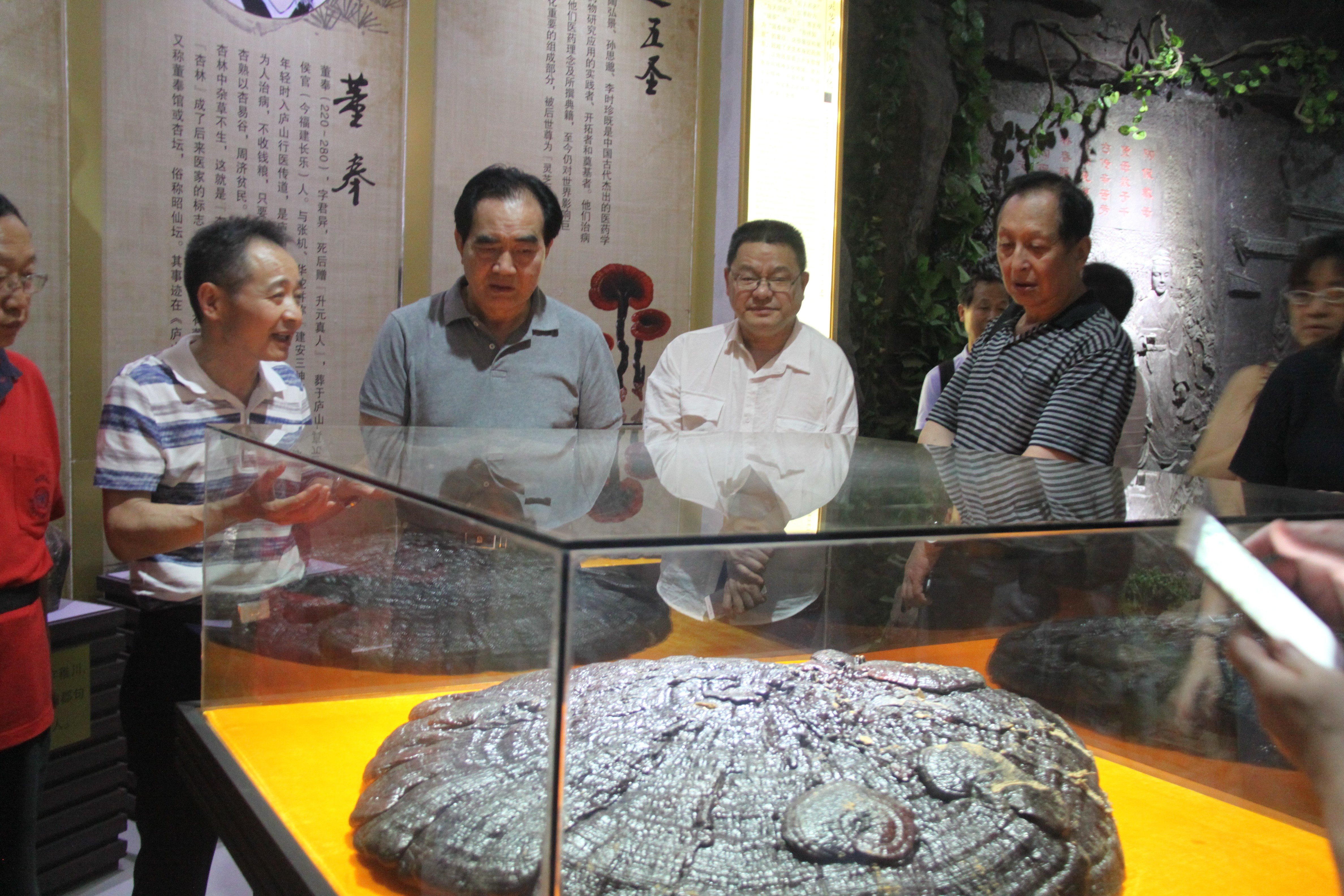 中國(guó)靈芝十大品牌|仙客來(lái)靈芝|仙客來(lái)靈芝破壁孢子粉|仙客來(lái)孢子油|仙客來(lái)靈芝飲片|仙客來(lái)破壁孢子粉|仙客來(lái)靈芝中藥飲片|馳名商標(biāo)|www.madree.com.cn|