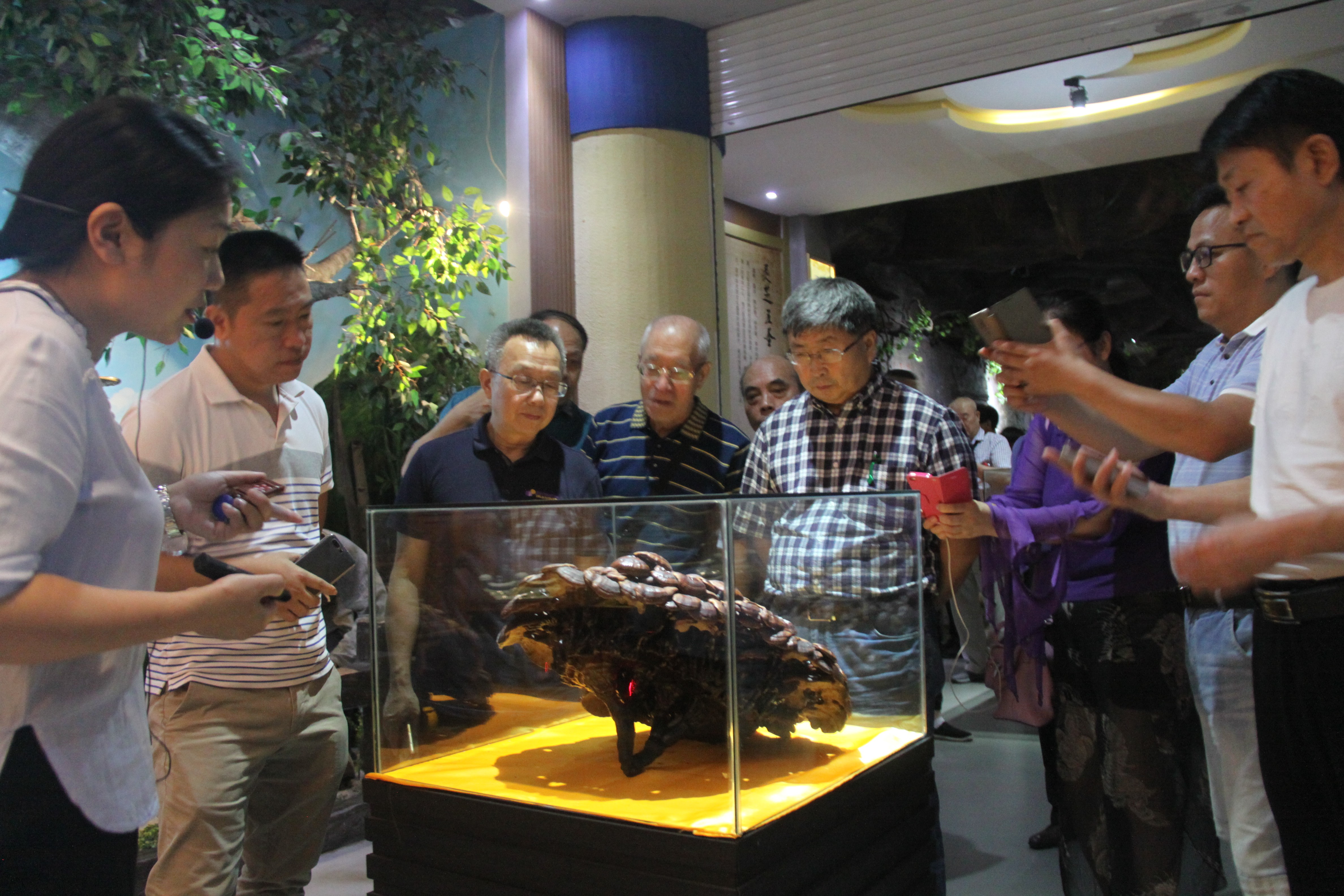 中國(guó)靈芝十大品牌|仙客來(lái)靈芝|仙客來(lái)靈芝破壁孢子粉|仙客來(lái)孢子油|仙客來(lái)靈芝飲片|仙客來(lái)破壁孢子粉|仙客來(lái)靈芝中藥飲片|馳名商標(biāo)|www.madree.com.cn|