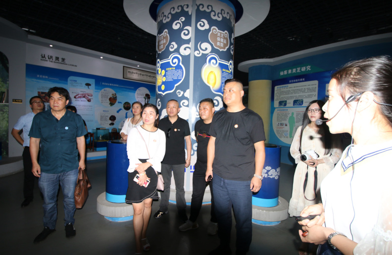 中國靈芝十大品牌|仙客來靈芝|仙客來靈芝破壁孢子粉|仙客來孢子油|仙客來靈芝飲片|仙客來破壁孢子粉|仙客來靈芝中藥飲片|馳名商標|www.madree.com.cn|