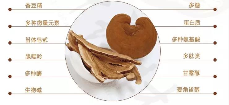 中國靈芝十大品牌|仙客來靈芝|仙客來靈芝破壁孢子粉|仙客來孢子油|仙客來靈芝飲片|仙客來破壁孢子粉|仙客來靈芝中藥飲片|馳名商標|www.madree.com.cn|