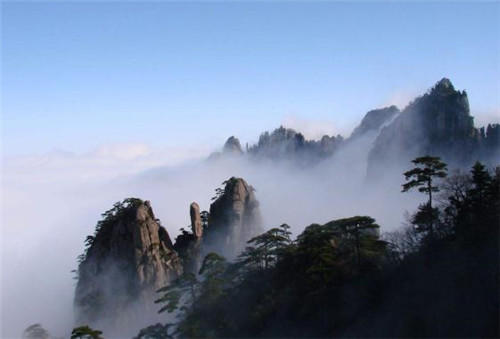 中國靈芝十大品牌|仙客來靈芝|仙客來靈芝破壁孢子粉|仙客來孢子油|仙客來靈芝飲片|仙客來破壁孢子粉|仙客來靈芝中藥飲片|馳名商標|www.madree.com.cn|