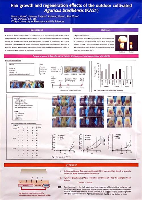 中國(guó)靈芝十大品牌|仙客來(lái)靈芝|仙客來(lái)靈芝破壁孢子粉|仙客來(lái)孢子油|仙客來(lái)靈芝飲片|仙客來(lái)破壁孢子粉|仙客來(lái)靈芝中藥飲片|馳名商標(biāo)|www.madree.com.cn|