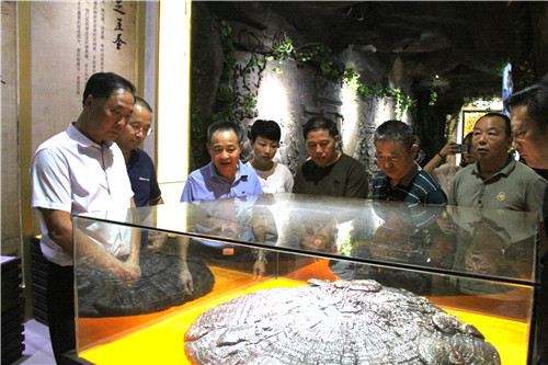 中國(guó)靈芝十大品牌|仙客來(lái)靈芝|仙客來(lái)靈芝破壁孢子粉|仙客來(lái)孢子油|仙客來(lái)靈芝飲片|仙客來(lái)破壁孢子粉|仙客來(lái)靈芝中藥飲片|馳名商標(biāo)|www.madree.com.cn|