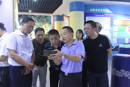 中國(guó)靈芝十大品牌|仙客來(lái)靈芝|仙客來(lái)靈芝破壁孢子粉|仙客來(lái)孢子油|仙客來(lái)靈芝飲片|仙客來(lái)破壁孢子粉|仙客來(lái)靈芝中藥飲片|馳名商標(biāo)|www.madree.com.cn|