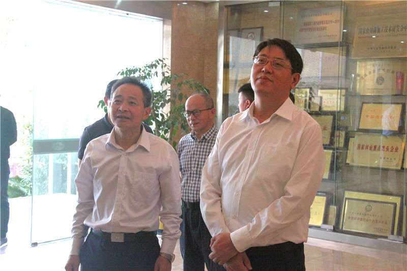 中國靈芝十大品牌|仙客來靈芝|仙客來靈芝破壁孢子粉|仙客來孢子油|仙客來靈芝飲片|仙客來破壁孢子粉|仙客來靈芝中藥飲片|馳名商標|www.madree.com.cn|