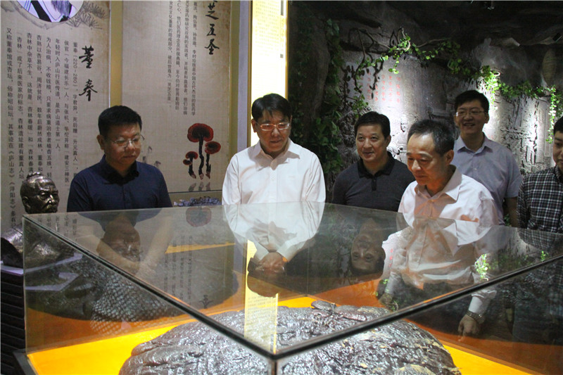 中國靈芝十大品牌|仙客來靈芝|仙客來靈芝破壁孢子粉|仙客來孢子油|仙客來靈芝飲片|仙客來破壁孢子粉|仙客來靈芝中藥飲片|馳名商標|www.madree.com.cn|