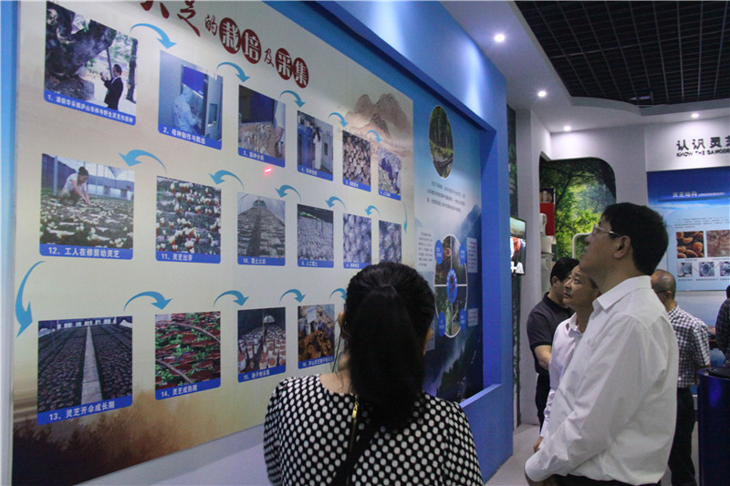 中國靈芝十大品牌|仙客來靈芝|仙客來靈芝破壁孢子粉|仙客來孢子油|仙客來靈芝飲片|仙客來破壁孢子粉|仙客來靈芝中藥飲片|馳名商標|www.madree.com.cn|