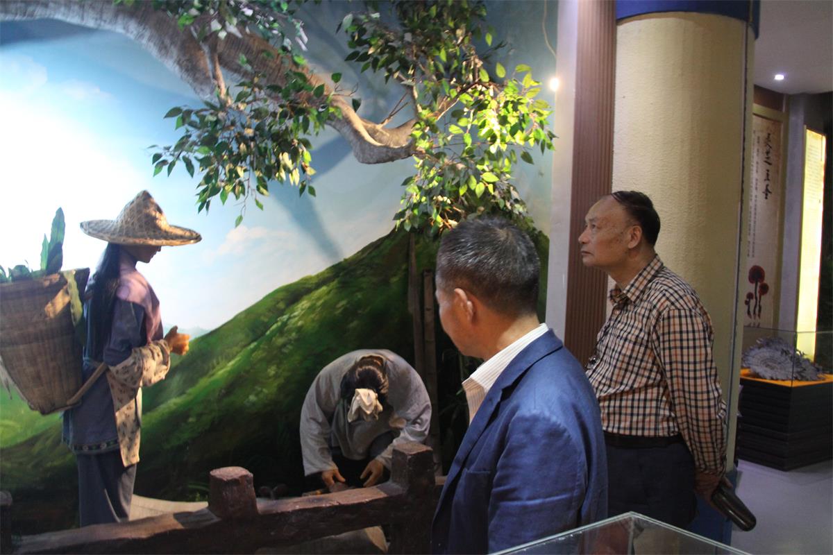 中國靈芝十大品牌|仙客來靈芝|仙客來靈芝破壁孢子粉|仙客來孢子油|仙客來靈芝飲片|仙客來破壁孢子粉|仙客來靈芝中藥飲片|馳名商標(biāo)|www.madree.com.cn|