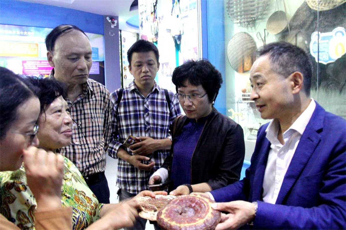 中國靈芝十大品牌|仙客來靈芝|仙客來靈芝破壁孢子粉|仙客來孢子油|仙客來靈芝飲片|仙客來破壁孢子粉|仙客來靈芝中藥飲片|馳名商標(biāo)|www.madree.com.cn|