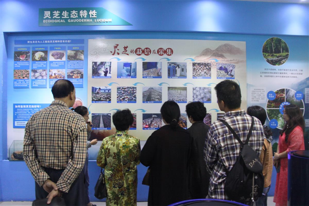 中國靈芝十大品牌|仙客來靈芝|仙客來靈芝破壁孢子粉|仙客來孢子油|仙客來靈芝飲片|仙客來破壁孢子粉|仙客來靈芝中藥飲片|馳名商標(biāo)|www.madree.com.cn|