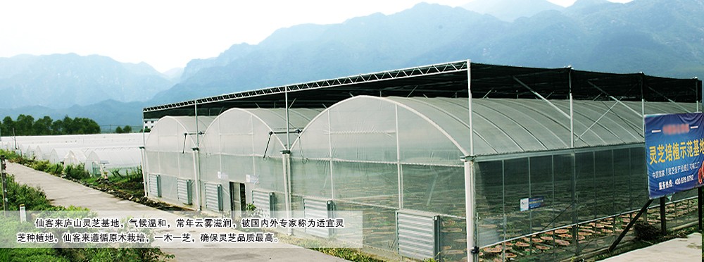 中國靈芝十大品牌|仙客來靈芝|仙客來靈芝破壁孢子粉|仙客來孢子油|仙客來靈芝飲片|仙客來破壁孢子粉|仙客來靈芝中藥飲片|馳名商標(biāo)|www.madree.com.cn|