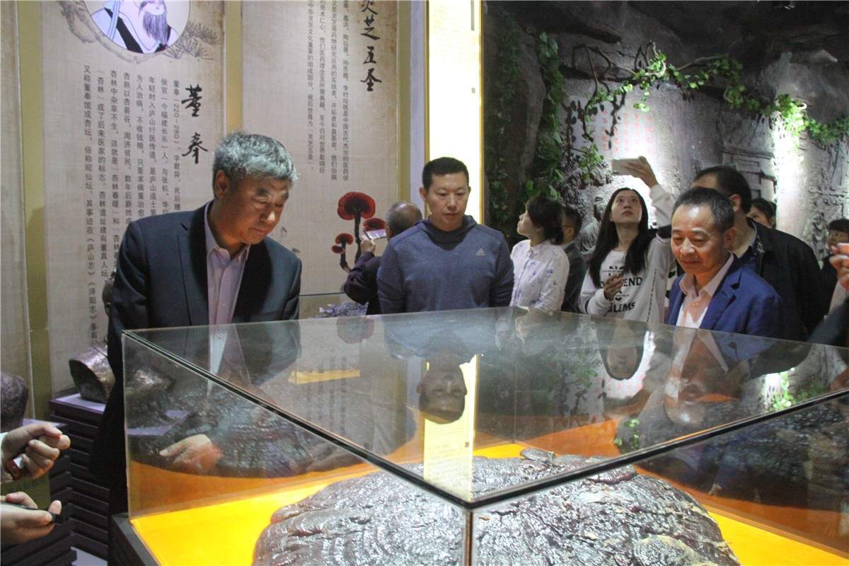 中國(guó)靈芝十大品牌|仙客來(lái)靈芝|仙客來(lái)靈芝破壁孢子粉|仙客來(lái)孢子油|仙客來(lái)靈芝飲片|仙客來(lái)破壁孢子粉|仙客來(lái)靈芝中藥飲片|馳名商標(biāo)|www.madree.com.cn|