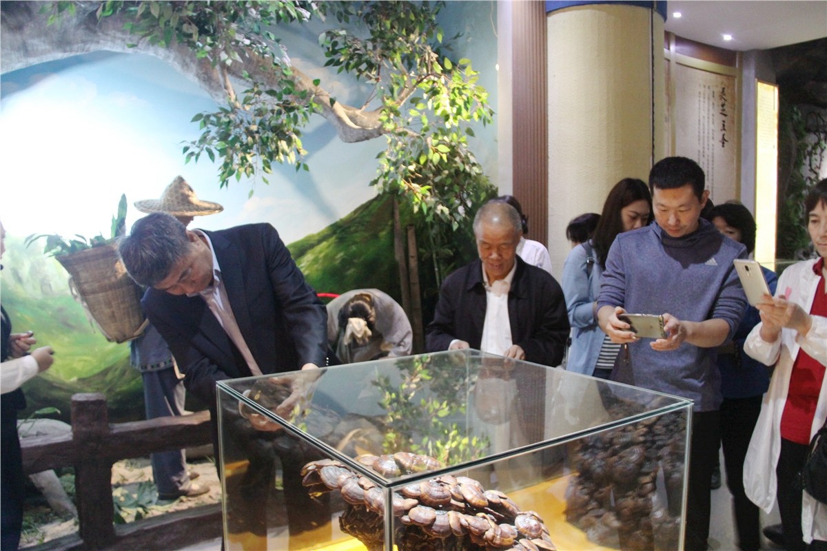 中國(guó)靈芝十大品牌|仙客來(lái)靈芝|仙客來(lái)靈芝破壁孢子粉|仙客來(lái)孢子油|仙客來(lái)靈芝飲片|仙客來(lái)破壁孢子粉|仙客來(lái)靈芝中藥飲片|馳名商標(biāo)|www.madree.com.cn|