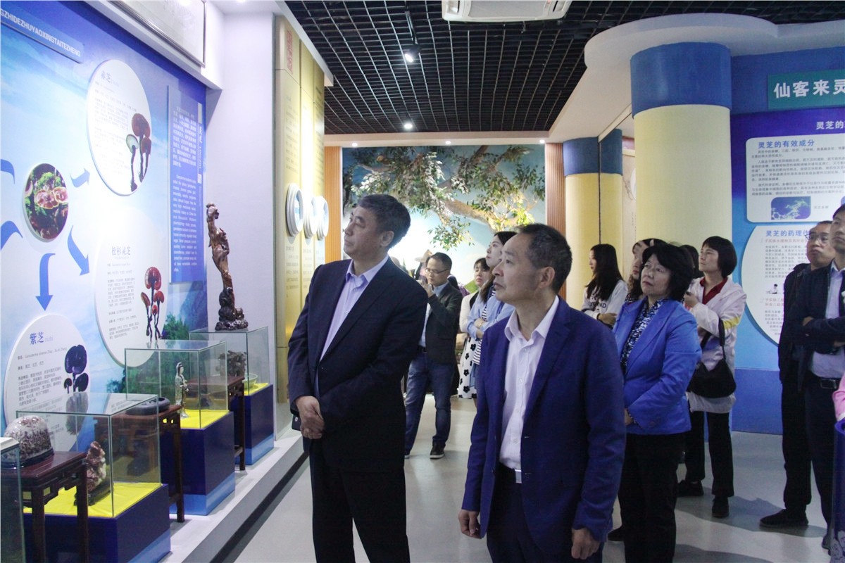 中國(guó)靈芝十大品牌|仙客來(lái)靈芝|仙客來(lái)靈芝破壁孢子粉|仙客來(lái)孢子油|仙客來(lái)靈芝飲片|仙客來(lái)破壁孢子粉|仙客來(lái)靈芝中藥飲片|馳名商標(biāo)|www.madree.com.cn|