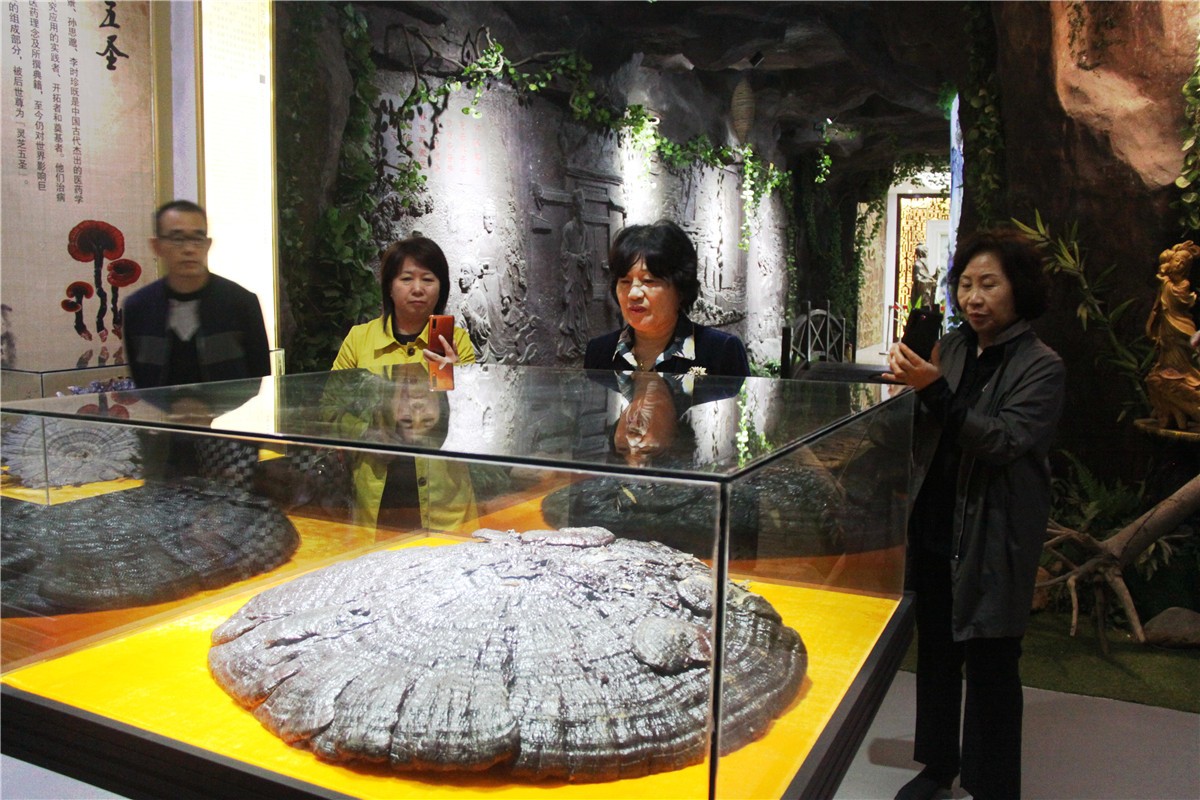 中國(guó)靈芝十大品牌|仙客來(lái)靈芝|仙客來(lái)靈芝破壁孢子粉|仙客來(lái)孢子油|仙客來(lái)靈芝飲片|仙客來(lái)破壁孢子粉|仙客來(lái)靈芝中藥飲片|馳名商標(biāo)|www.madree.com.cn|