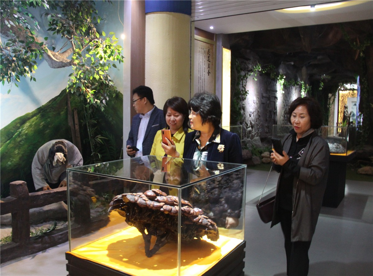 中國(guó)靈芝十大品牌|仙客來(lái)靈芝|仙客來(lái)靈芝破壁孢子粉|仙客來(lái)孢子油|仙客來(lái)靈芝飲片|仙客來(lái)破壁孢子粉|仙客來(lái)靈芝中藥飲片|馳名商標(biāo)|www.madree.com.cn|