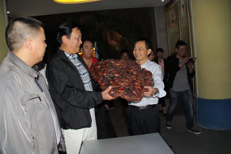 中國靈芝十大品牌|仙客來靈芝|仙客來靈芝破壁孢子粉|仙客來孢子油|仙客來靈芝飲片|仙客來破壁孢子粉|仙客來靈芝中藥飲片|馳名商標|www.madree.com.cn|