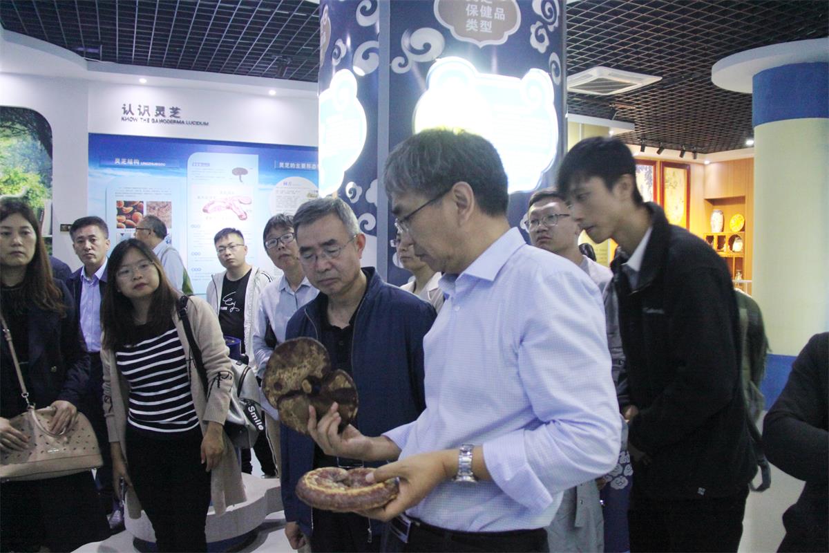 中國靈芝十大品牌|仙客來靈芝|仙客來靈芝破壁孢子粉|仙客來孢子油|仙客來靈芝飲片|仙客來破壁孢子粉|仙客來靈芝中藥飲片|馳名商標(biāo)|www.madree.com.cn|