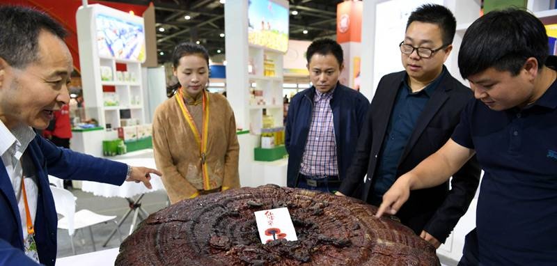 中國靈芝十大品牌|仙客來靈芝|仙客來靈芝破壁孢子粉|仙客來孢子油|仙客來靈芝飲片|仙客來破壁孢子粉|仙客來靈芝中藥飲片|馳名商標(biāo)|www.madree.com.cn|