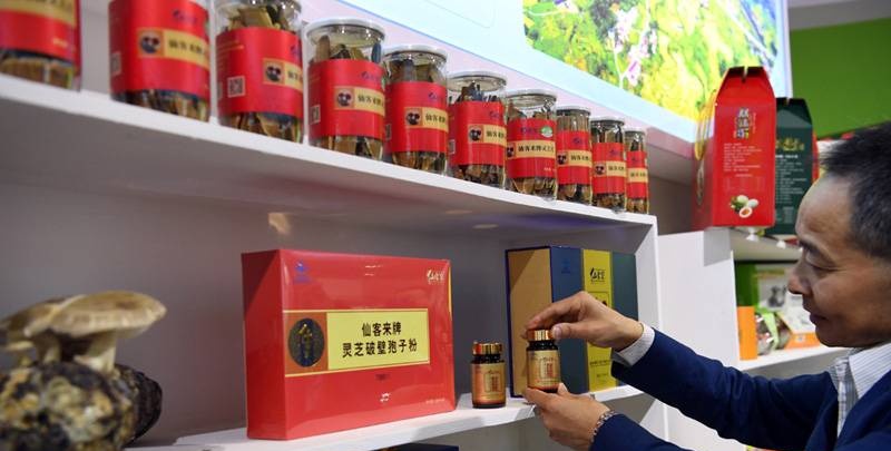 中國靈芝十大品牌|仙客來靈芝|仙客來靈芝破壁孢子粉|仙客來孢子油|仙客來靈芝飲片|仙客來破壁孢子粉|仙客來靈芝中藥飲片|馳名商標(biāo)|www.madree.com.cn|