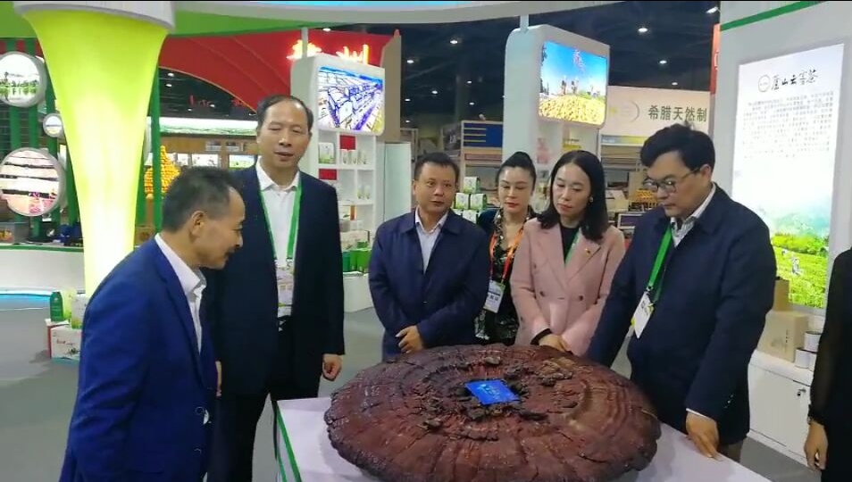 中國靈芝十大品牌|仙客來靈芝|仙客來靈芝破壁孢子粉|仙客來孢子油|仙客來靈芝飲片|仙客來破壁孢子粉|仙客來靈芝中藥飲片|馳名商標(biāo)|www.madree.com.cn|