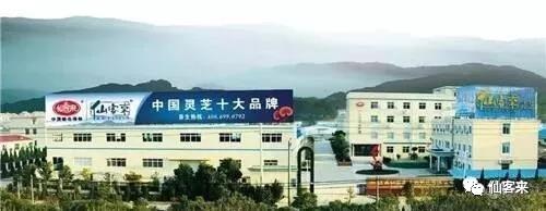 中國(guó)靈芝十大品牌|仙客來(lái)靈芝|仙客來(lái)靈芝破壁孢子粉|仙客來(lái)孢子油|仙客來(lái)靈芝飲片|仙客來(lái)破壁孢子粉|仙客來(lái)靈芝中藥飲片|馳名商標(biāo)|www.madree.com.cn|