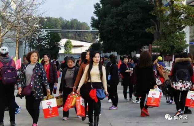 中國(guó)靈芝十大品牌|仙客來(lái)靈芝|仙客來(lái)靈芝破壁孢子粉|仙客來(lái)孢子油|仙客來(lái)靈芝飲片|仙客來(lái)破壁孢子粉|仙客來(lái)靈芝中藥飲片|馳名商標(biāo)|www.madree.com.cn|