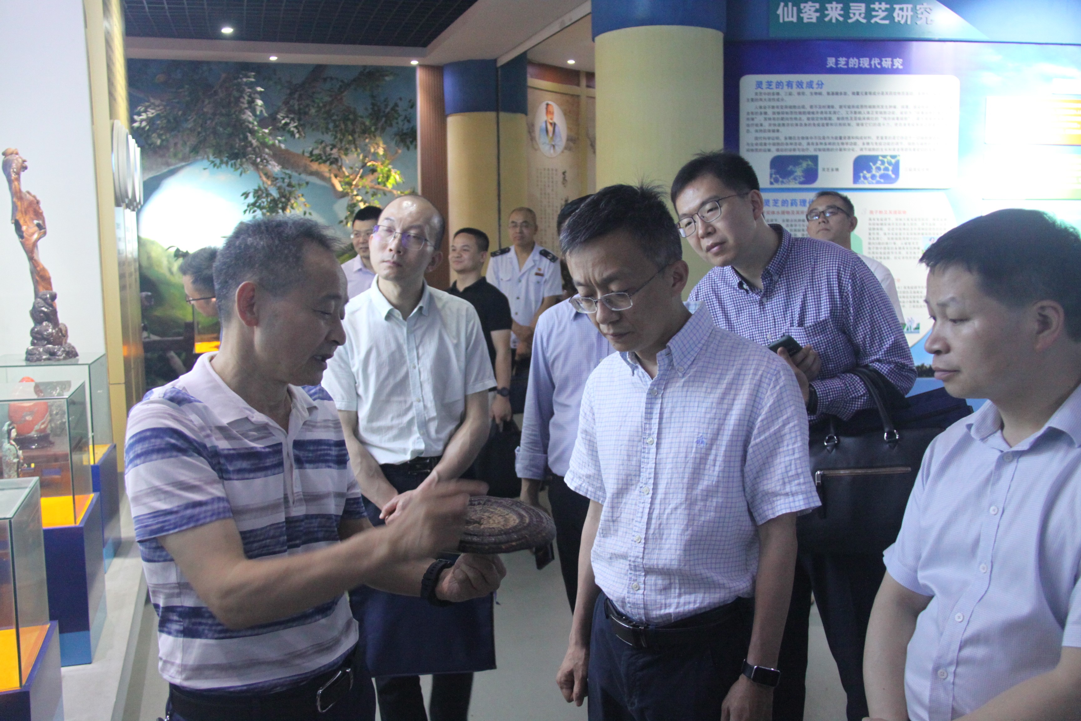 杭州亞運(yùn)會官方靈芝產(chǎn)品供應(yīng)商|杭州亞運(yùn)會官方供應(yīng)商|中國靈芝十大品牌|仙客來靈芝|仙客來靈芝破壁孢子粉|仙客來孢子油|仙客來靈芝飲片|仙客來破壁孢子粉|靈芝孢子油|孢子粉|靈芝破壁孢子粉|靈芝|中華老字號