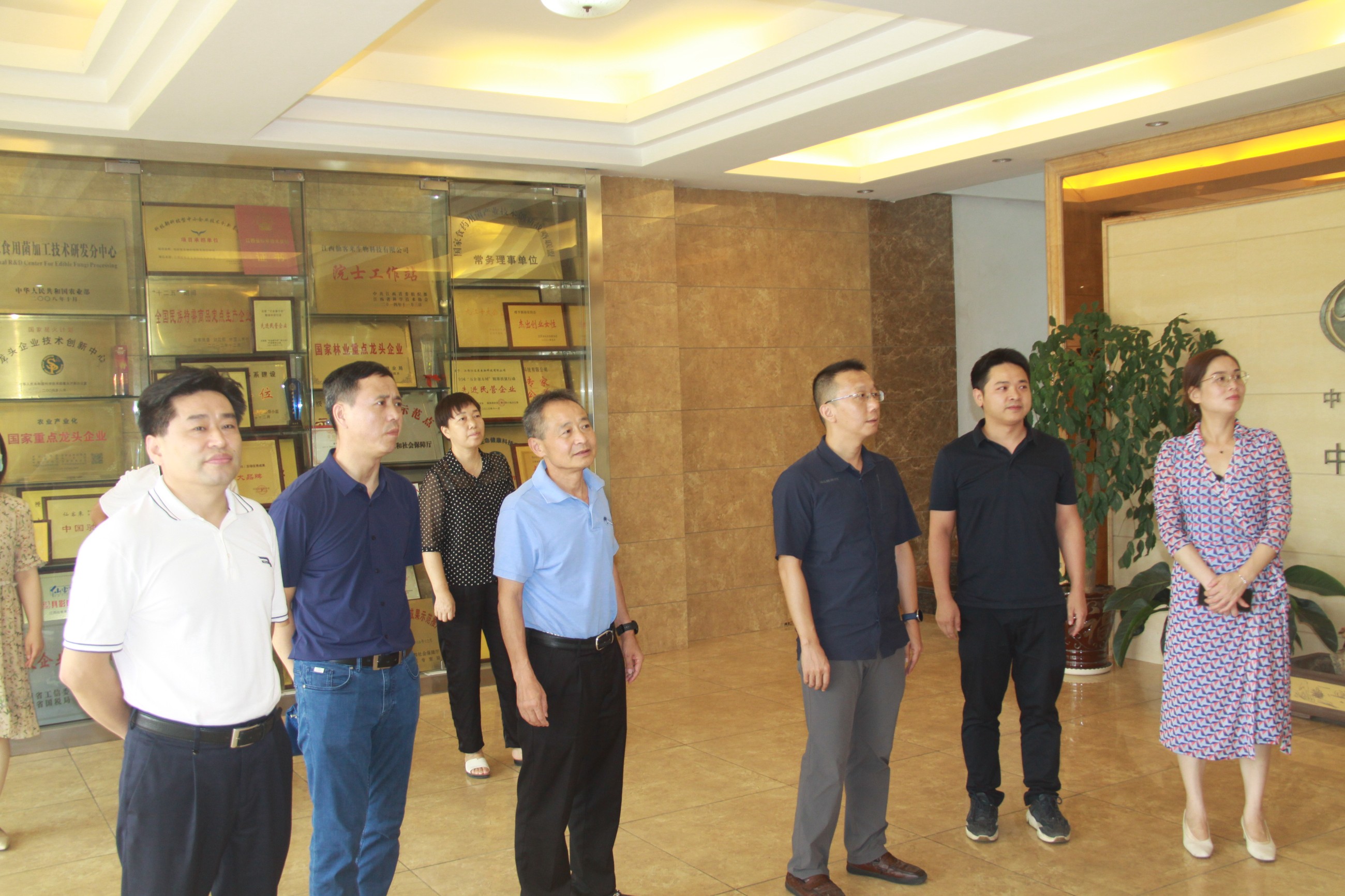 杭州亞運(yùn)會(huì)官方靈芝產(chǎn)品供應(yīng)商|杭州亞運(yùn)會(huì)官方供應(yīng)商|中國(guó)靈芝十大品牌|仙客來(lái)靈芝|仙客來(lái)靈芝破壁孢子粉|仙客來(lái)孢子油|仙客來(lái)靈芝飲片|仙客來(lái)破壁孢子粉|靈芝孢子油|孢子粉|靈芝破壁孢子粉|靈芝|中華老字號(hào)