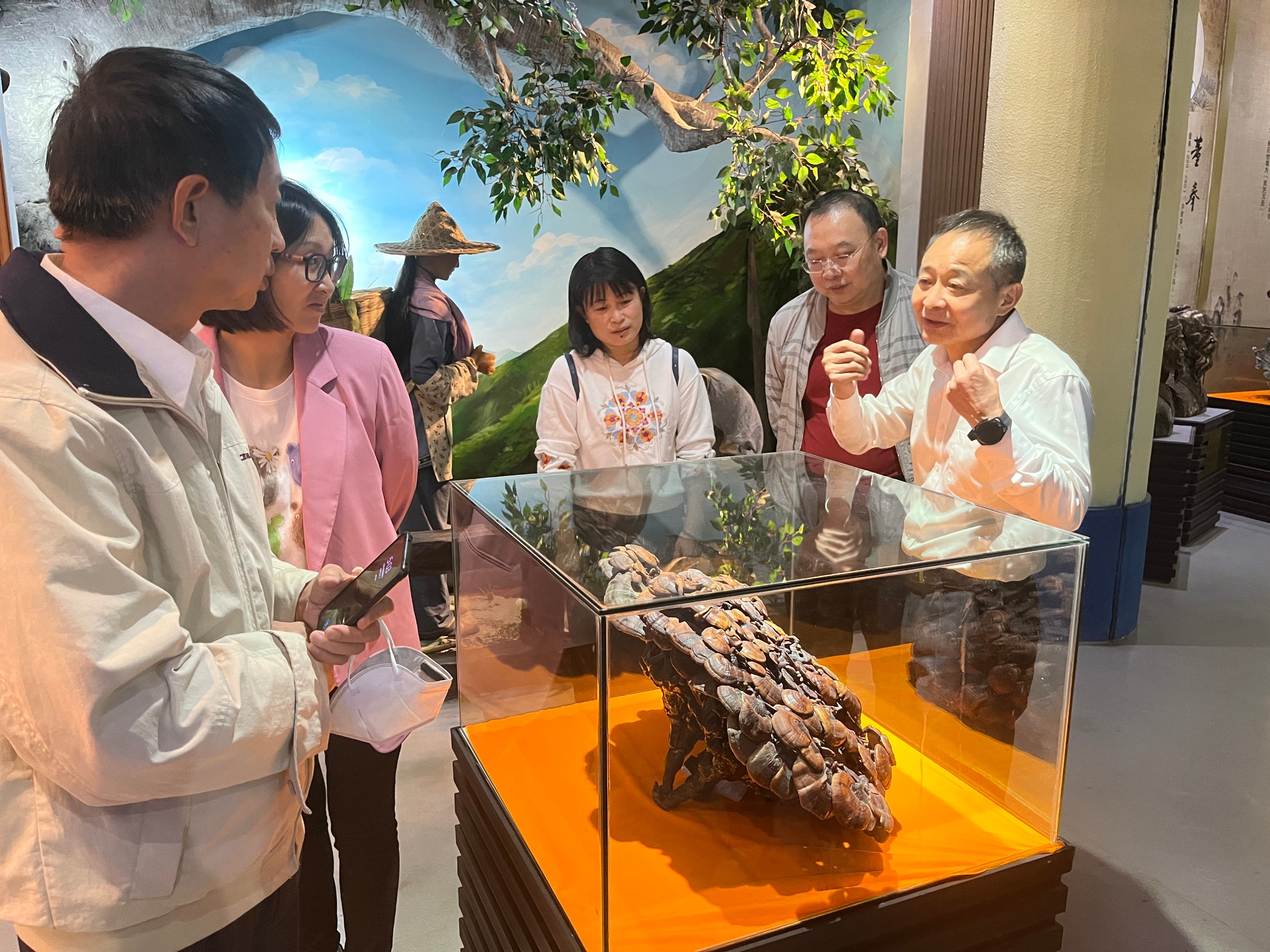 杭州亞運(yùn)會(huì)官方靈芝產(chǎn)品供應(yīng)商|杭州亞運(yùn)會(huì)官方供應(yīng)商|中國靈芝十大品牌|仙客來靈芝|仙客來靈芝破壁孢子粉|仙客來孢子油|仙客來靈芝飲片|仙客來破壁孢子粉|靈芝孢子油|孢子粉|靈芝破壁孢子粉|靈芝|中華老字號(hào)