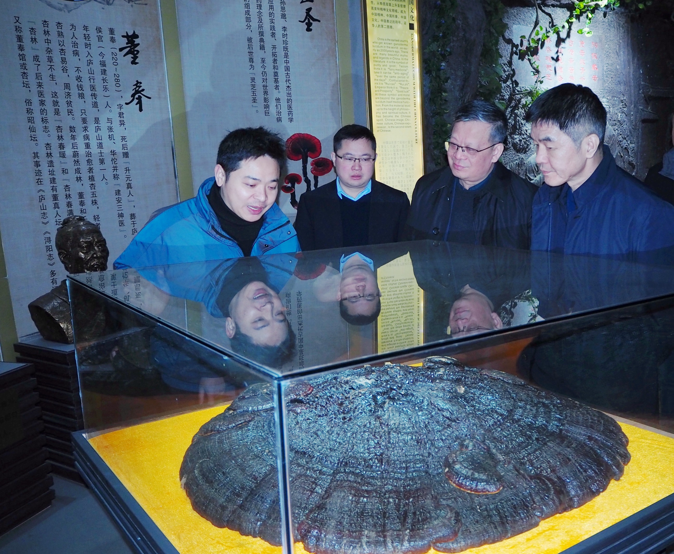 杭州亞運會官方靈芝產(chǎn)品供應商|杭州亞運會官方供應商|中國靈芝十大品牌|仙客來靈芝|仙客來靈芝破壁孢子粉|仙客來孢子油|仙客來靈芝飲片|仙客來破壁孢子粉|靈芝孢子油|孢子粉|靈芝破壁孢子粉|靈芝|中華老字號