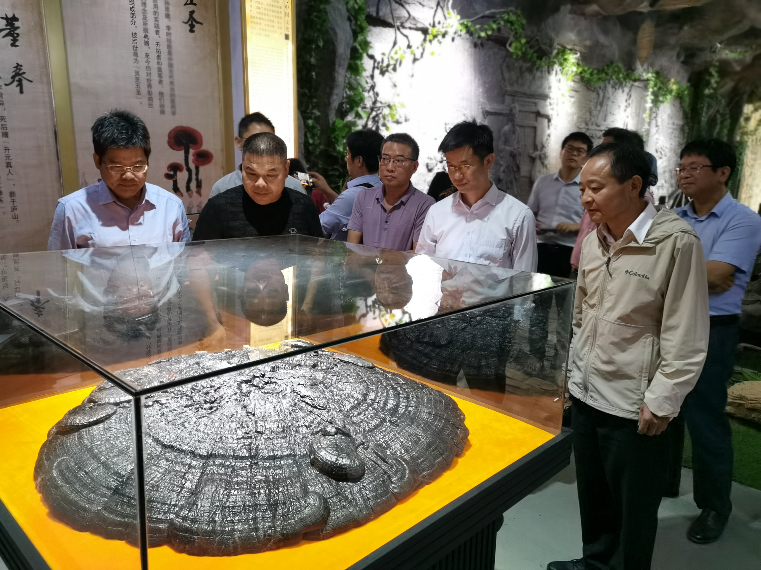 杭州亞運(yùn)會(huì)官方靈芝產(chǎn)品供應(yīng)商|杭州亞運(yùn)會(huì)官方供應(yīng)商|中國(guó)靈芝十大品牌|仙客來(lái)靈芝|仙客來(lái)靈芝破壁孢子粉|仙客來(lái)孢子油|仙客來(lái)靈芝飲片|仙客來(lái)破壁孢子粉|靈芝孢子油|孢子粉|靈芝破壁孢子粉|靈芝|中華老字號(hào)