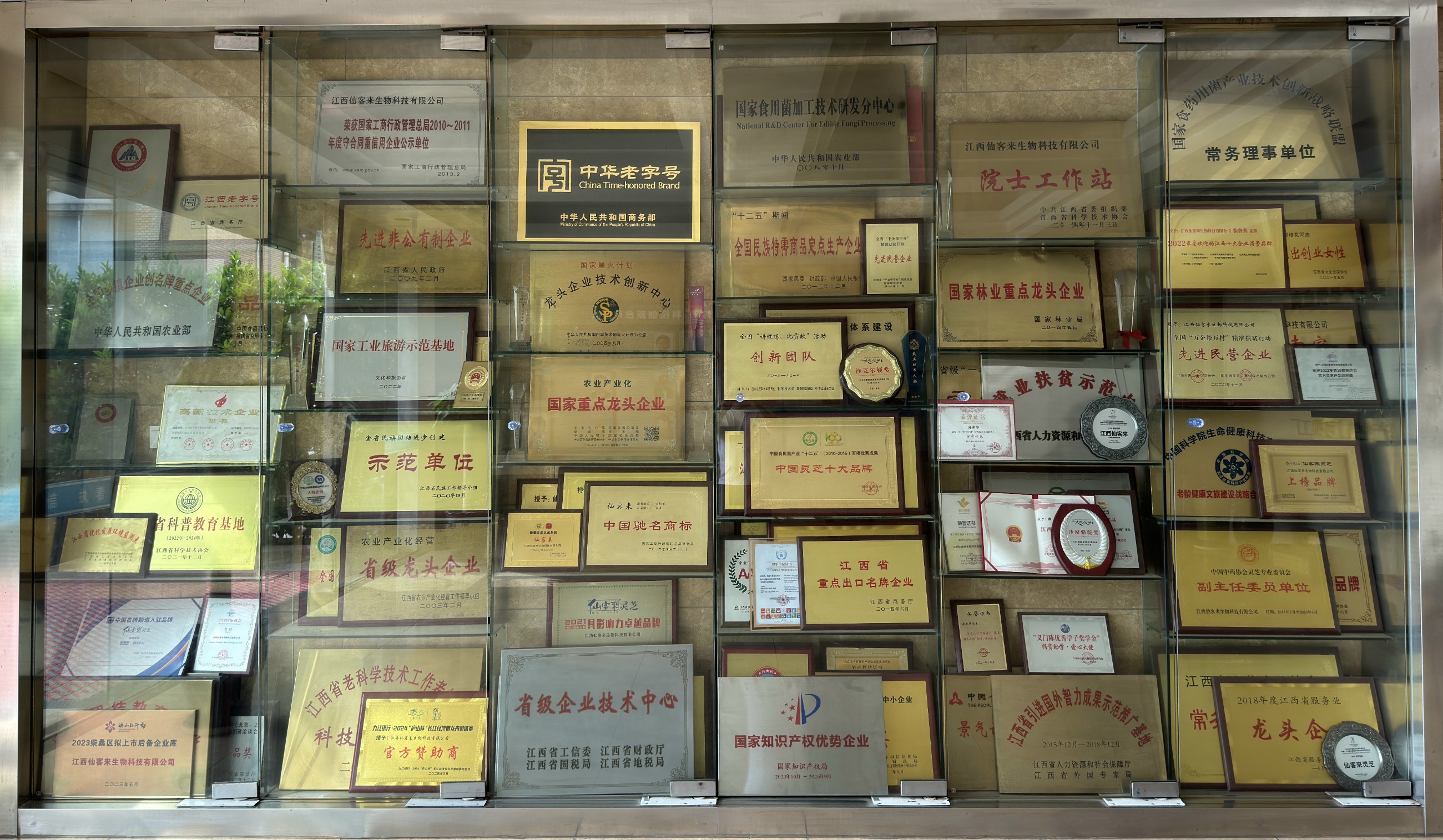 杭州亞運會官方靈芝產(chǎn)品供應商|杭州亞運會官方供應商|中國靈芝十大品牌|仙客來靈芝|仙客來靈芝破壁孢子粉|仙客來孢子油|仙客來靈芝飲片|仙客來破壁孢子粉|靈芝孢子油|孢子粉|靈芝破壁孢子粉|靈芝|中華老字號