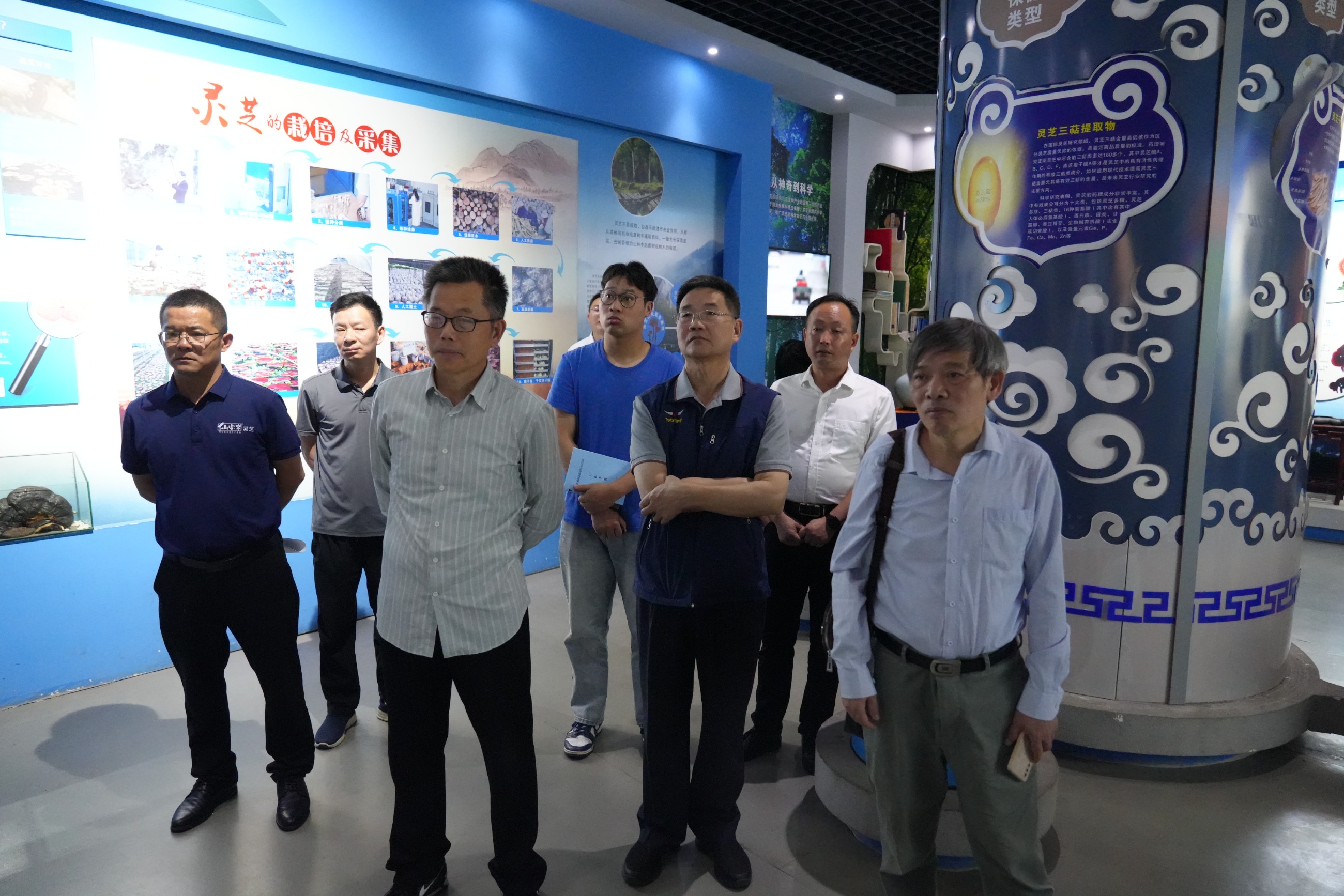 杭州亞運(yùn)會(huì)官方靈芝產(chǎn)品供應(yīng)商|杭州亞運(yùn)會(huì)官方供應(yīng)商|中國靈芝十大品牌|仙客來靈芝|仙客來靈芝破壁孢子粉|仙客來孢子油|仙客來靈芝飲片|仙客來破壁孢子粉|靈芝孢子油|孢子粉|靈芝破壁孢子粉|靈芝|中華老字號(hào)