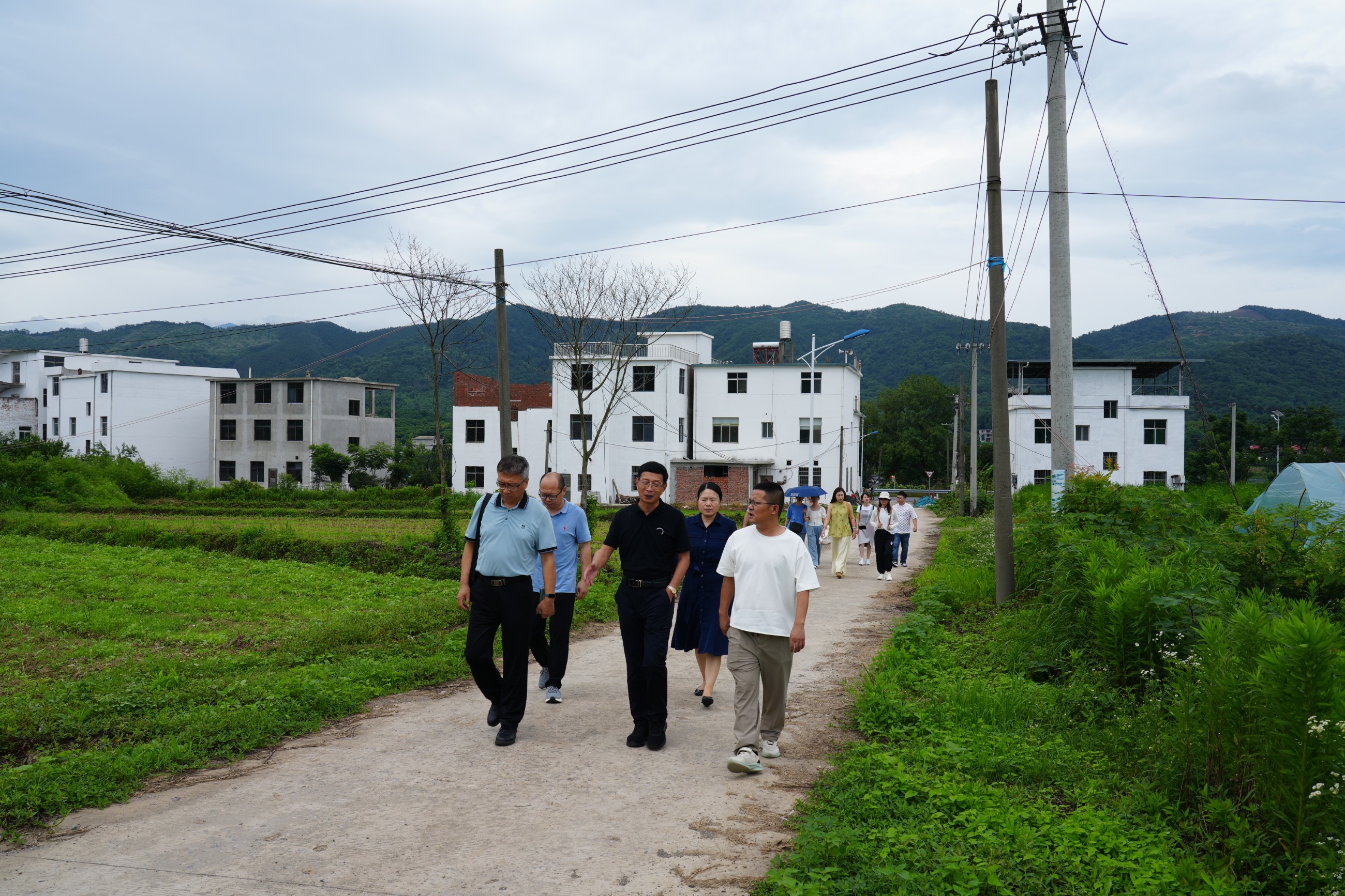 杭州亞運(yùn)會(huì)官方靈芝產(chǎn)品供應(yīng)商|杭州亞運(yùn)會(huì)官方供應(yīng)商|中國靈芝十大品牌|仙客來靈芝|仙客來靈芝破壁孢子粉|仙客來孢子油|仙客來靈芝飲片|仙客來破壁孢子粉|靈芝孢子油|孢子粉|靈芝破壁孢子粉|靈芝|中華老字號(hào)