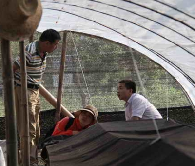 著名真菌學(xué)家戴玉成教授蒞臨仙客來公司考察指導(dǎo)