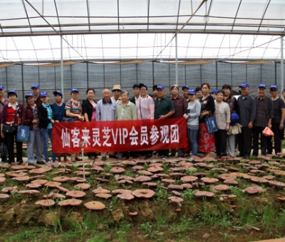 “慶國慶、賀重陽”專家義診活動在仙客來公司隆重舉行