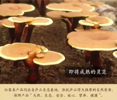 陰雨天氣頻繁  小心這些健康問題