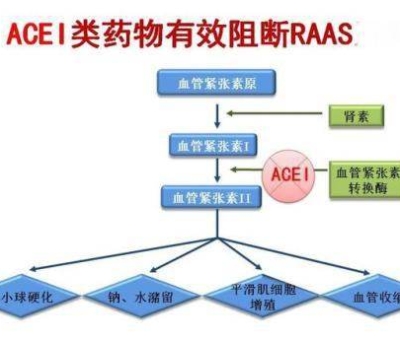 不吃藥，能降低高血壓？